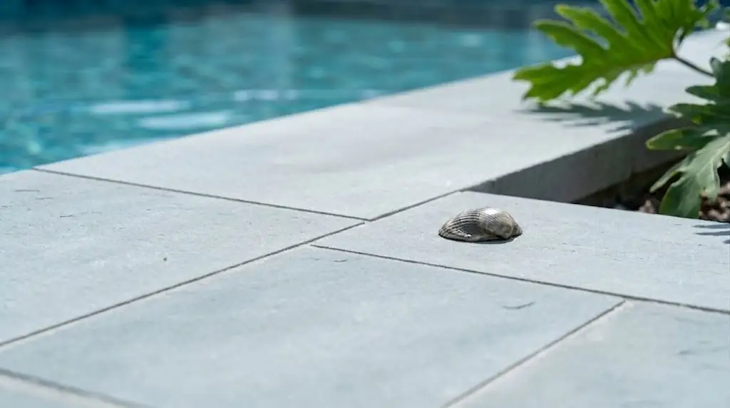 pool deck pavers in mckinney, tx